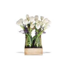 Tulipanes Florerias Fiorishop