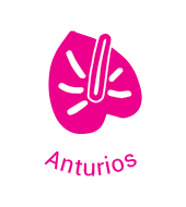 Anturios