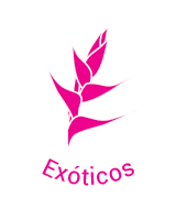 Exóticos