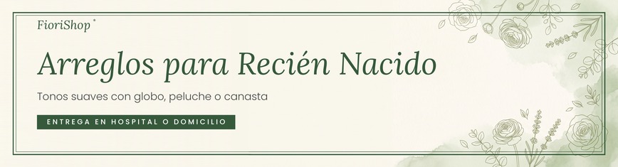 Nuevo Bebé