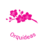 Orquideas