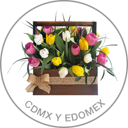 Cdmxy Edomex