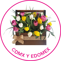 Cdmxy Edomex