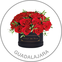 Guadalajara