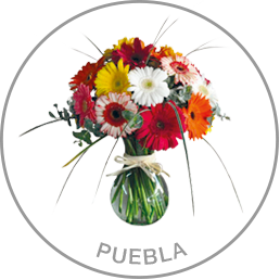 Puebla