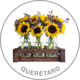 Queretaro