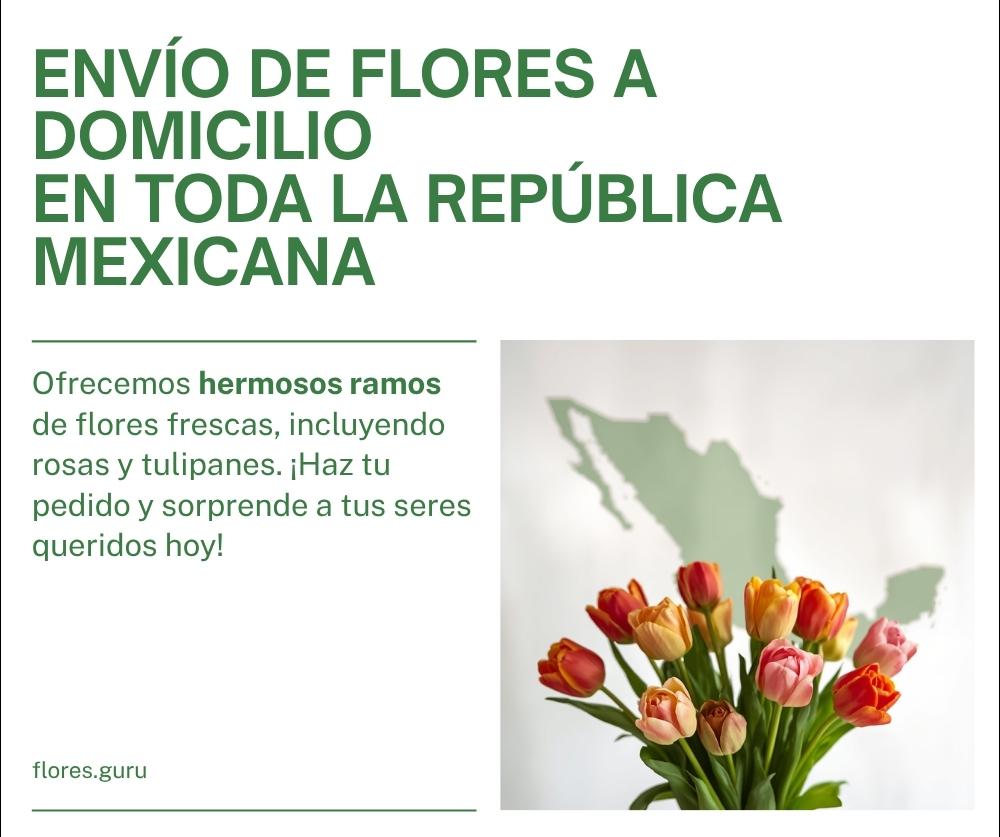 Enviar flores a domicilio en toda la República Mexicana: guía de cobertura nacional 2026