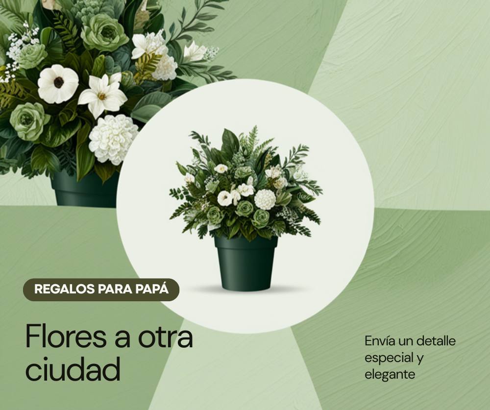 Día del Padre a distancia: enviar flores y plantas al papá en otra ciudad