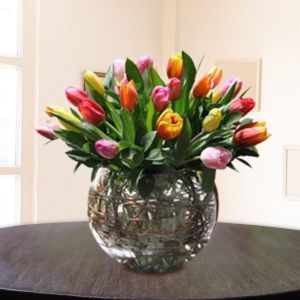Detalle de tulipanes con gotas de agua mostrando frescura - FioriShop