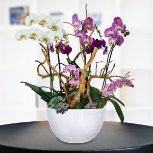 Flores para aniversario en CDMX